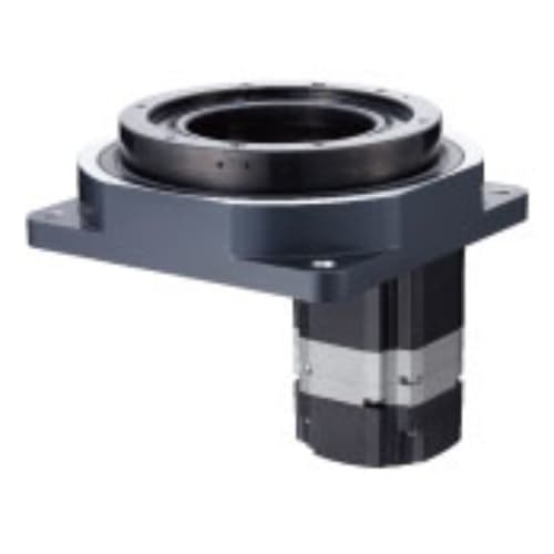 Động cơ Oriental DG200R-ARMS-2 Động cơ Oriental DG200R-ARMS-2