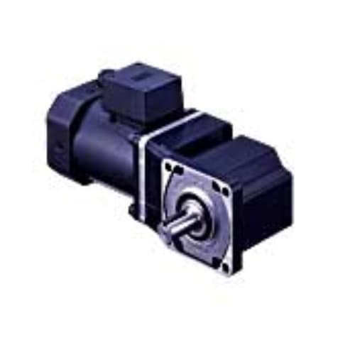 Động cơ Oriental BHI62CT-120RA Động cơ Oriental BHI62CT-120RA