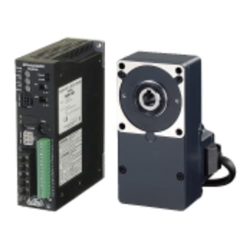 Động cơ Oriental BLE46C5F Động cơ Oriental BLE46C5F